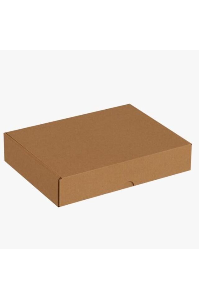 Kilitli E-Ticaret Kutusu 19x26x5 Cm (50 adet ) Kargo Kutusu Hediye Kutusu Karton Koli Kraft